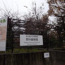 名古屋大学博物館野外観察園入口