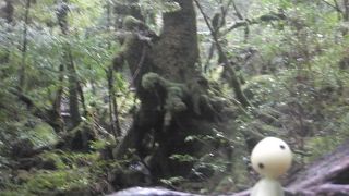 あの名曲が頭の中に流れます