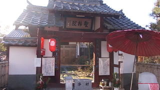 みみずく地蔵さんが可愛らしかったです