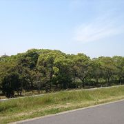 緑地に囲まれた場所で、近くには、江戸川緑地帯が有って、水辺にいる鳥も見ながら大自然を堪能できます。