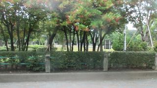 須崎公園　天神北にある公園