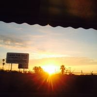 早朝、レセプションからの朝日。