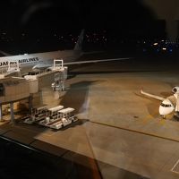 滑走路ビューだと夜間駐機の飛行機が見えます