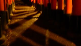 夜の伏見稲荷を歩く