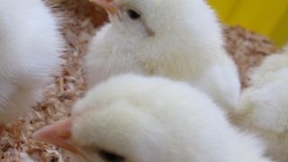 なかよし広場♪