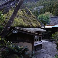 敷地内に入った途端にこれですから。たまりません！