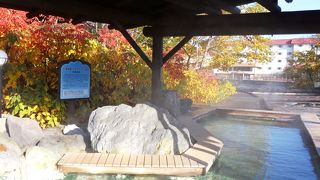 川湯温泉街の中心部にあります