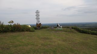 生き物にもやさしい