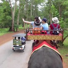 ツクツクに抜かれていきます