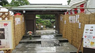 筥崎宮神苑花庭園　　1.～2月の冬牡丹と7月の博多ユリ　