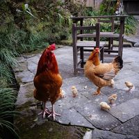 朝からしっかり営業活動（笑）