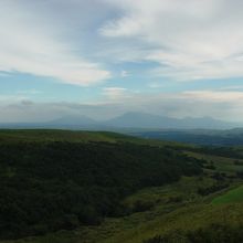 画像左手側がお顔で、右手側が足先です。 