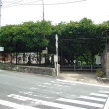 国道沿いにあるので、すぐにわかります。