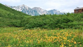 絶景の八方尾根に感動