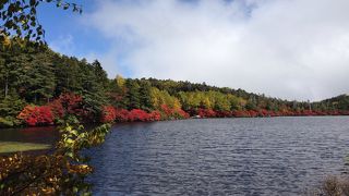 鏡のように映る澄んだ池。途中の苔の森は圧巻！