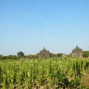 田畑の中に突然現れる寺院