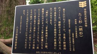 森林浴ができました。