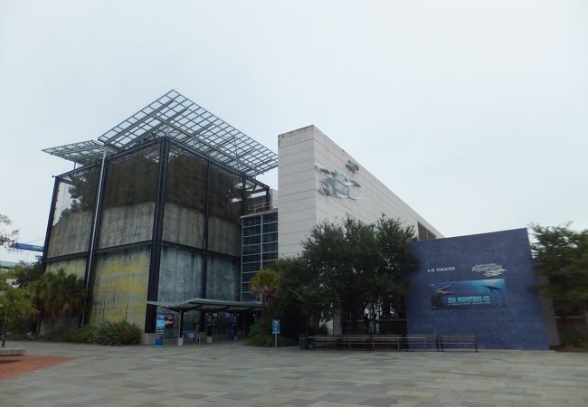 工夫が凝らされた水族館