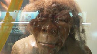 無料で入れる博物館