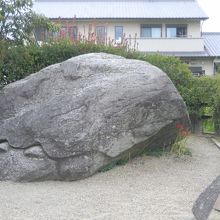 亀石です。笑っているように見えかわいい！