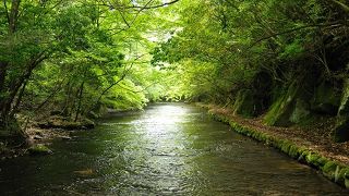 涼を求めて行く