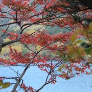 湯ノ湖畔のハイキングコース