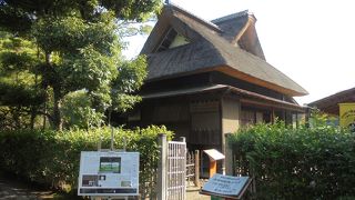 ここからの景色は最高