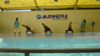 来年５月に閉館　残念