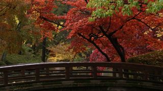 立派な石垣の盛岡城