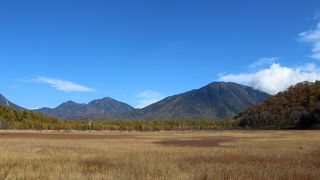 戦場ヶ原の西に広がる湿原