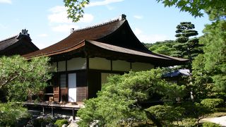 苔むした庭が素敵