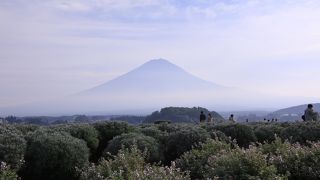 花と富士山の絶景ポイント