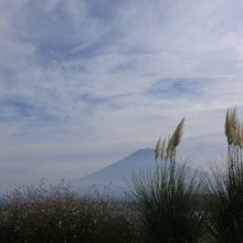 湖畔からの風景 