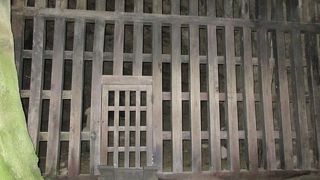 昼でも暗い裏山の日朗上人の土楼が凄い