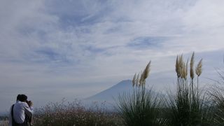 湖畔のあちこちから美しい富士山がのぞめます
