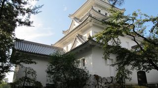 入城料百円です。