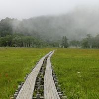 尾瀬ヶ原から至仏山を見たのですが、雲に隠れてしまっています。