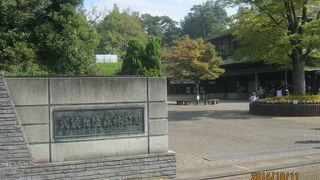 子供と楽しく遊べます