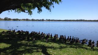 シティー近くの湖