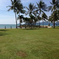 客室前の庭からの眺め