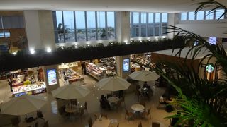 夏以来の石垣島