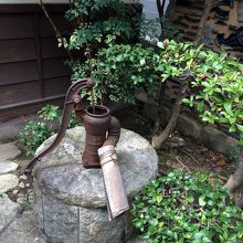 裏庭の井戸
