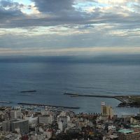 ロビーの窓から撮りました