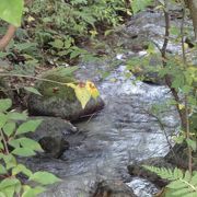 熊出没注意の看板