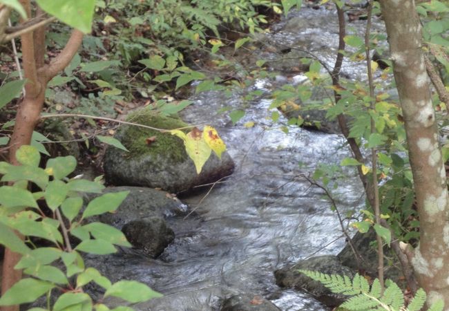 熊出没注意の看板