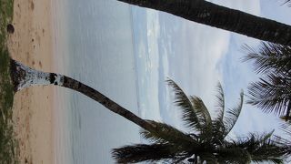 テラス席からの眺めがgood