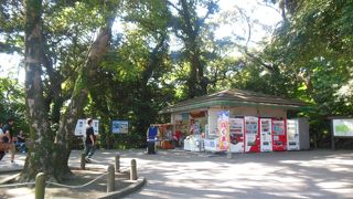 天気がよければ景色は最高