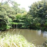 加賀藩筆頭家老本多家の庭園、崖下奥まったところにあり目立たない静かで落ち着いた庭園