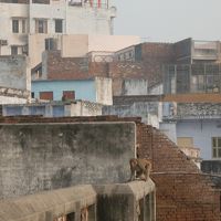 部屋のベランダから見える景色　１