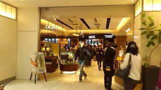 数多くのオリーブオイルが揃っている